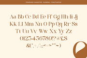 Pritude Radiance - Elegant Branding, a Serif Font by Sohel Studio (Thumbnail 8 of 10)