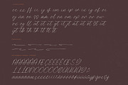Quality Nosting Modern Signature, a Script Font by Letterena Studios Script (Thumbnail 14 of 15)