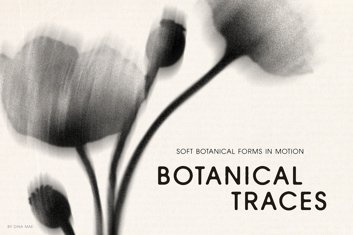 Botanical Traces: Blurred Floral PNG, an Object Graphic by Dina Mae (Photo 1 of 14)