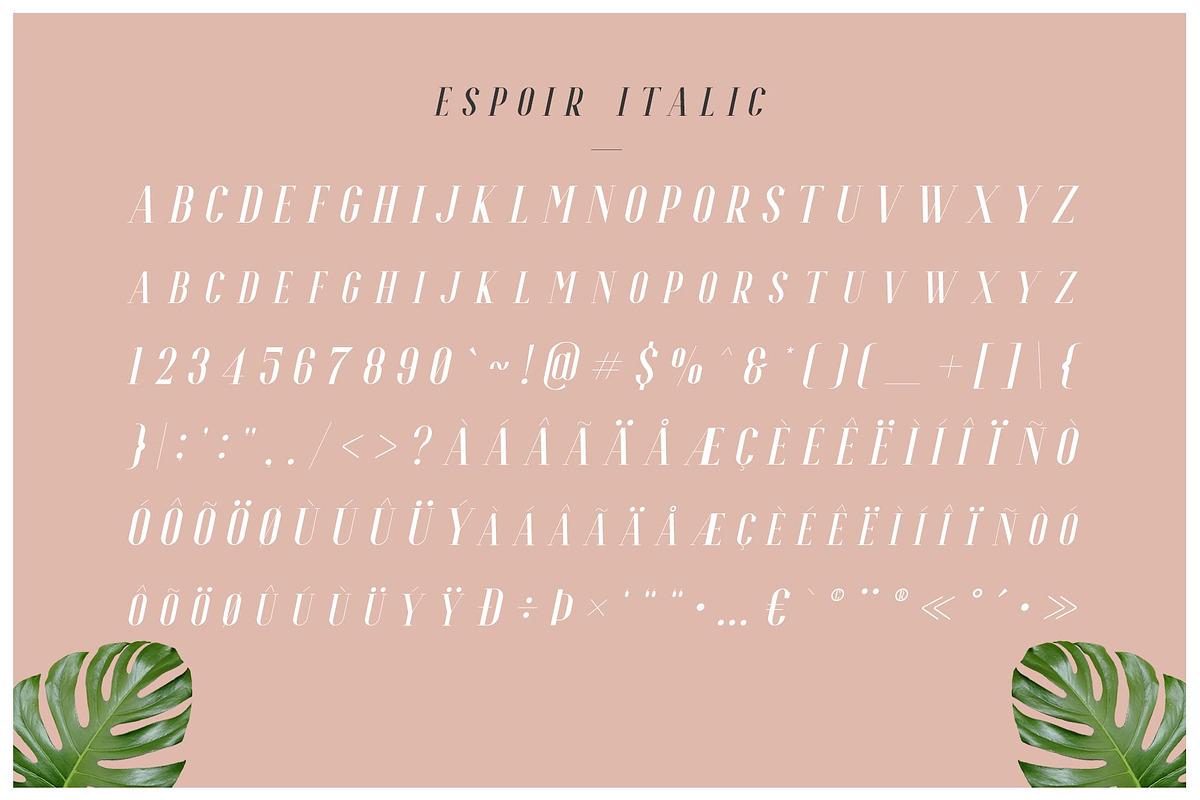 Espoir Serif - Font Family preview 8