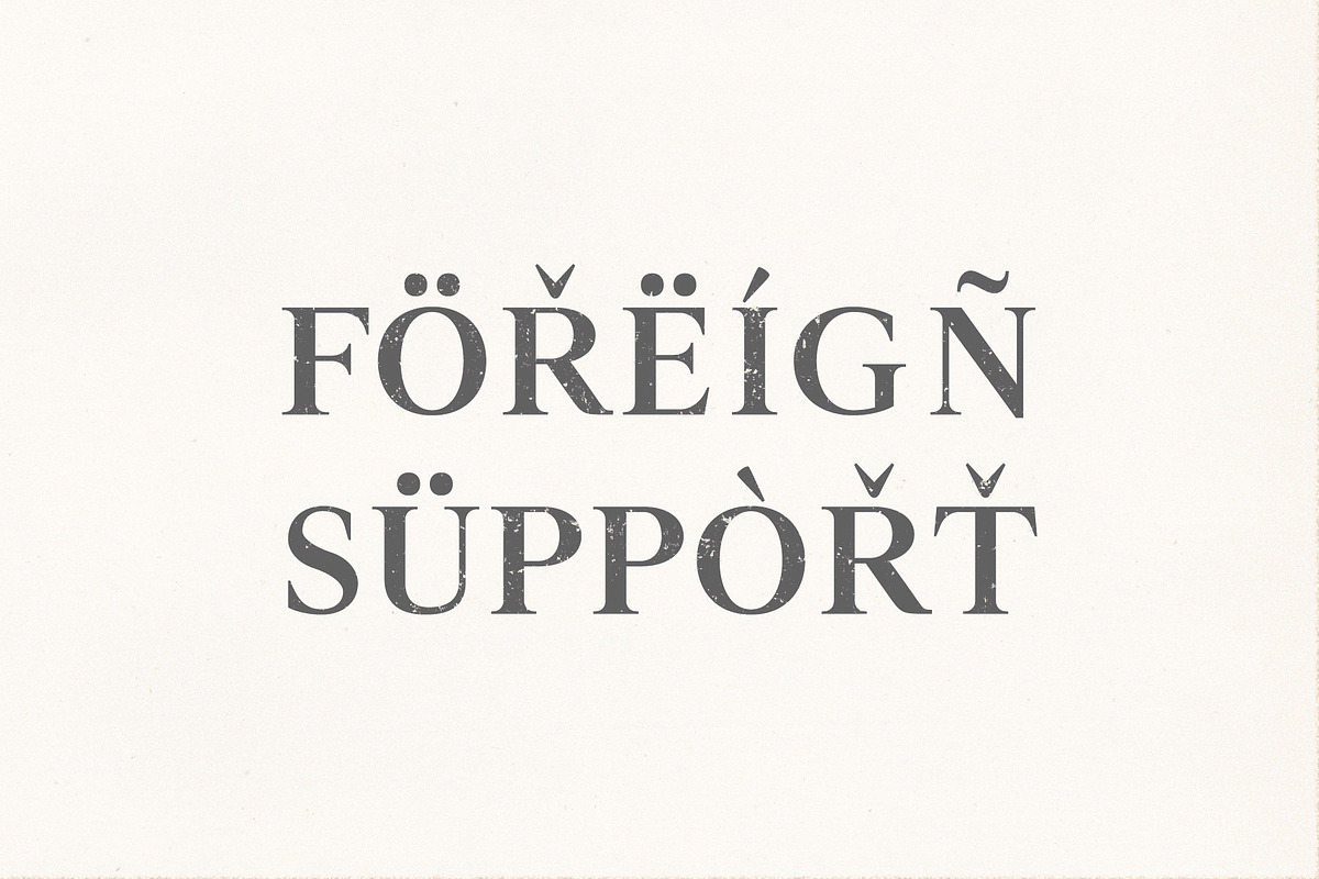 Denish Sans & Serif Duo Font Family, a Serif Font by Creativetacos (Photo 7 of 12)