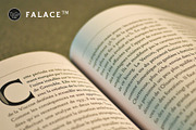 Falace, a Serif Font by TeGeType foundry (Thumbnail 2 of 7)