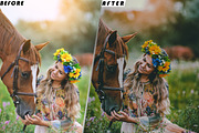 Wanderlust Video Luts And Presets, a Brushes & More by one-touch (Thumbnail 6 of 6)