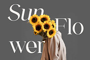 The Aesthetica Serif Modern Font, a Serif Font by UICreative (Thumbnail 12 of 13)