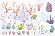 Watercolor set of underwater life, an Animal Illustration by Watercolor arts (Thumbnail 2 of 8)