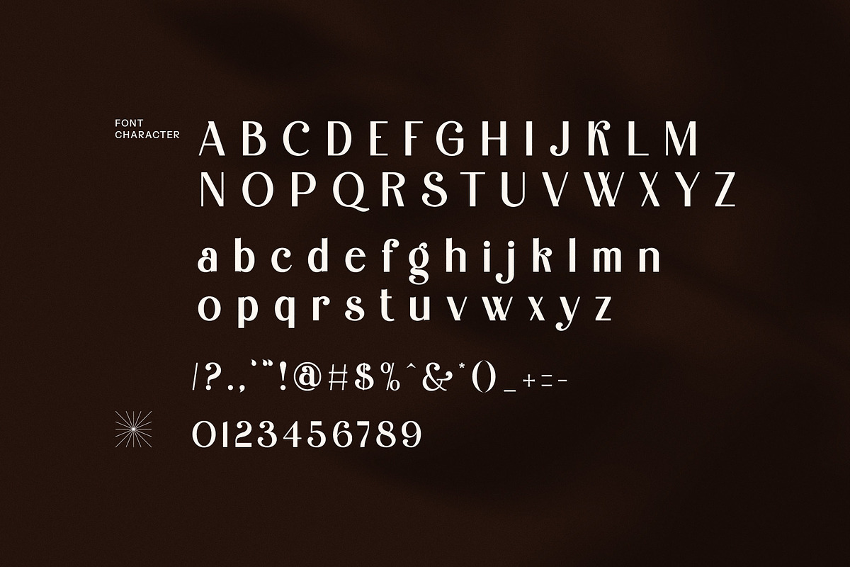 Duck Modern Sans Serif Font, a Serif Font by Perfectype (Photo 7 of 8)