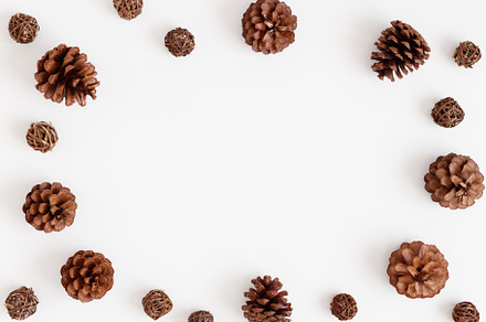 Pine cones on a white table, JPEG