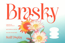 Brasky Modern Serif Display