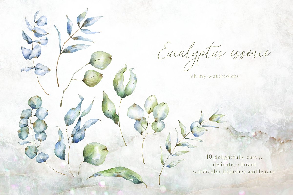 Eucalyptus essence watercolor set, an Illustration by Tatiana Troian (Photo 2 of 4)