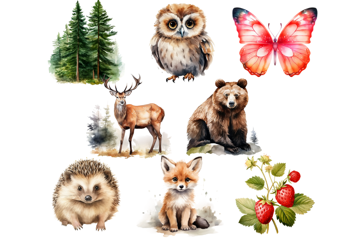 Woodland Animals Clipart Bundle, an Animal Illustration by Mash Mash Stickers (Photo 3 of 9)