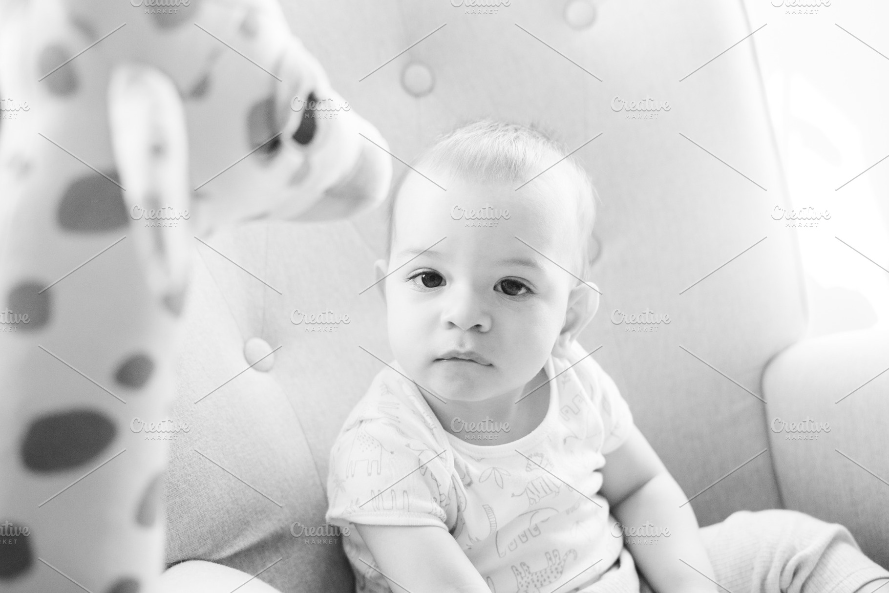 Portrait of a nine month old baby with a stuffed giraffe sitting in a rocking c, a Person Photo by rubenchase