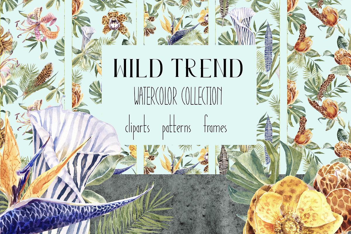 -40 Wild Trend Watercolor Collection, an Object Graphic by Cat In Colour (Photo 1 of 8)