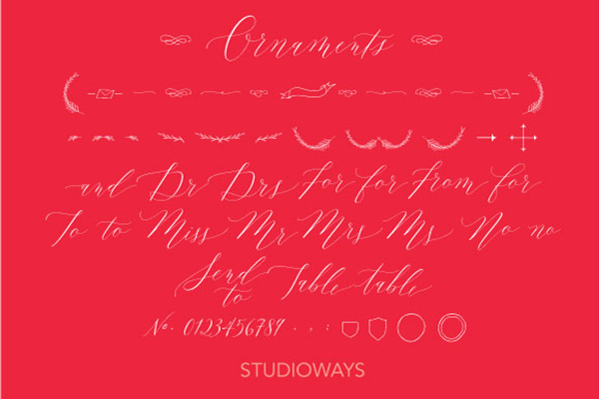 Lady Slippers & Ornaments, a Script Font by STUDIOWAYS (Photo 4 of 8)