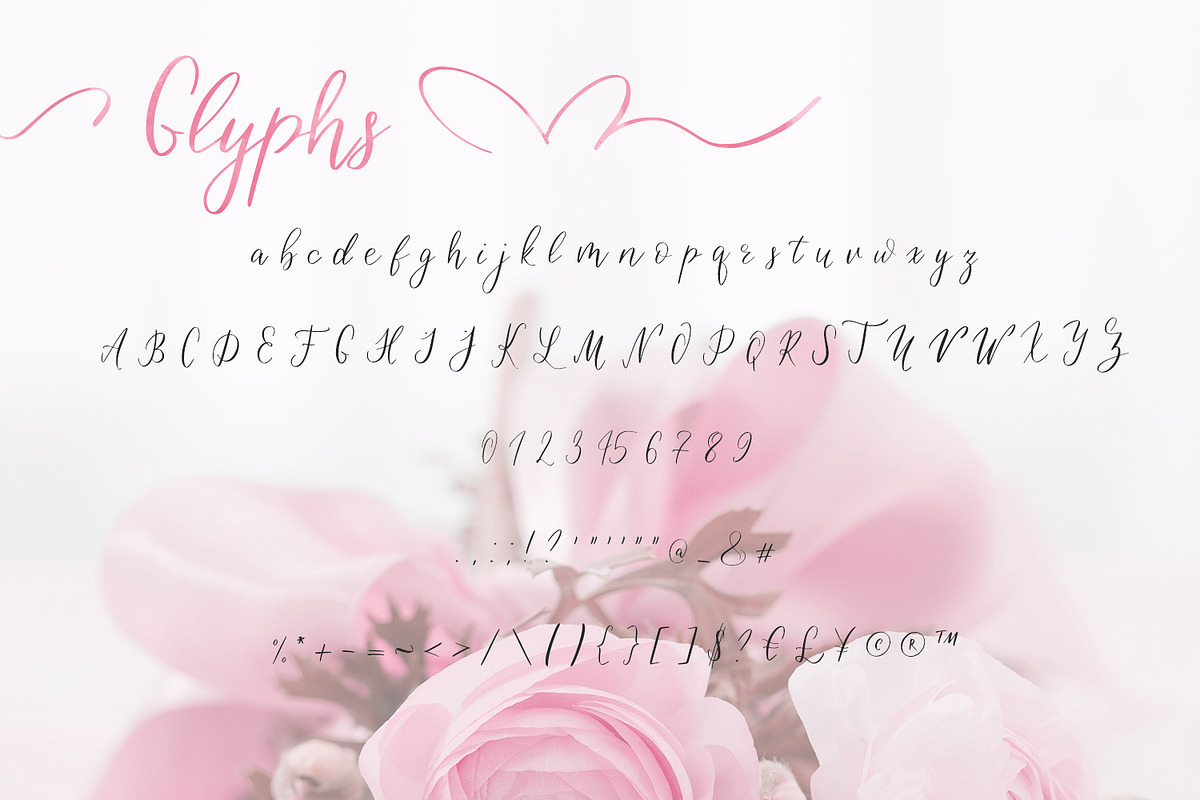 Birdy Roses | Script font + Swashes preview 6