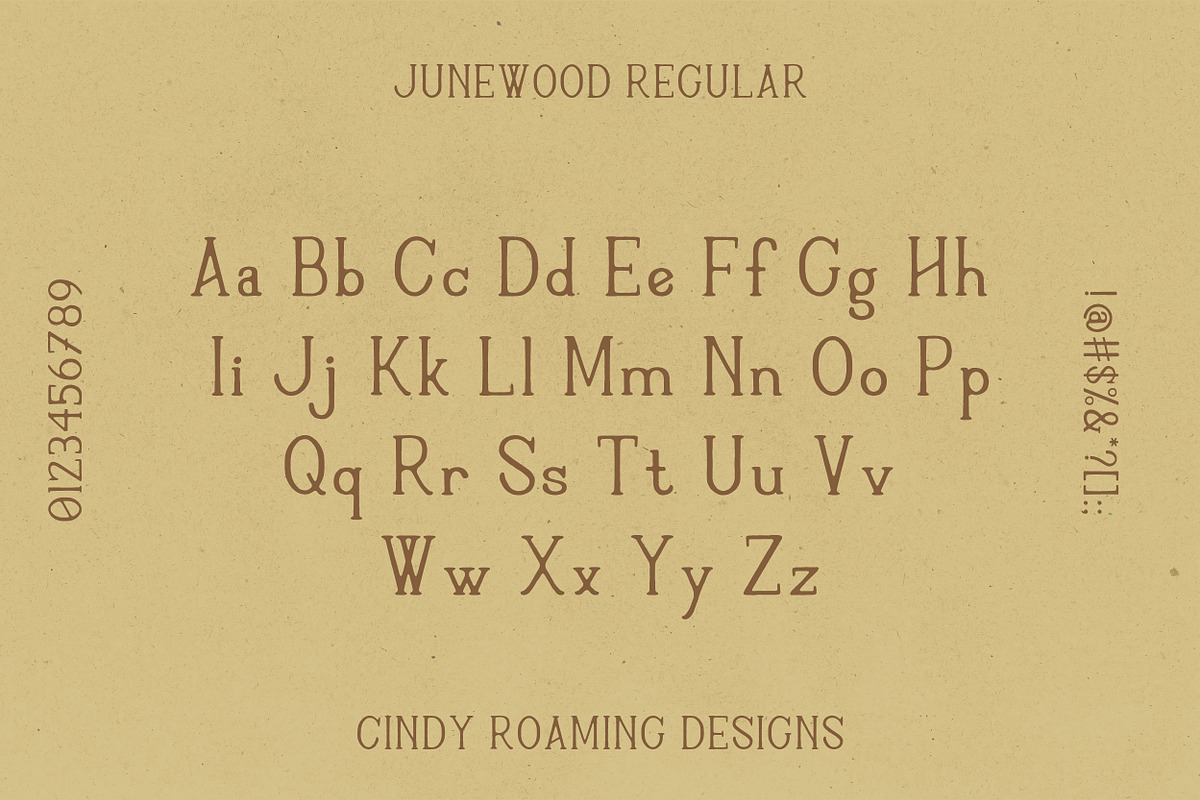 Junewood by Cindy Roaming Designs, a Serif Font by cindyroamingdesigns (Photo 2 of 8)