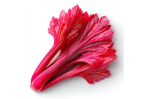 Amaranth Red Garnet, a variety of, a Food & Drink Photo by ZinetroN