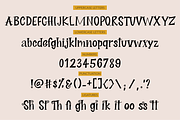 Sale! Midnight Story Font Family, a Serif Font by theinkaffair (Thumbnail 8 of 8)
