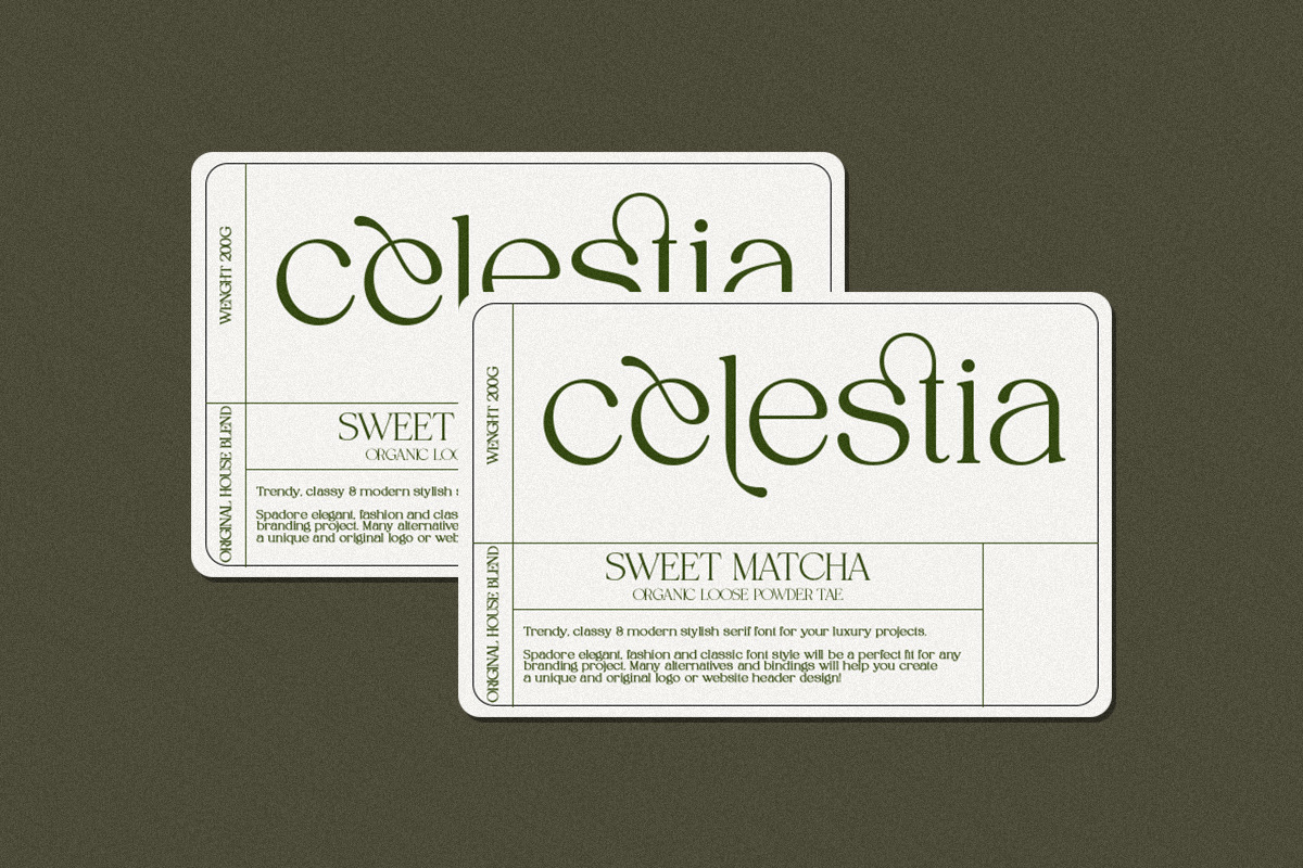 Spadore | 6 Font Files, a Serif Font by Pista Mova (Photo 3 of 18)