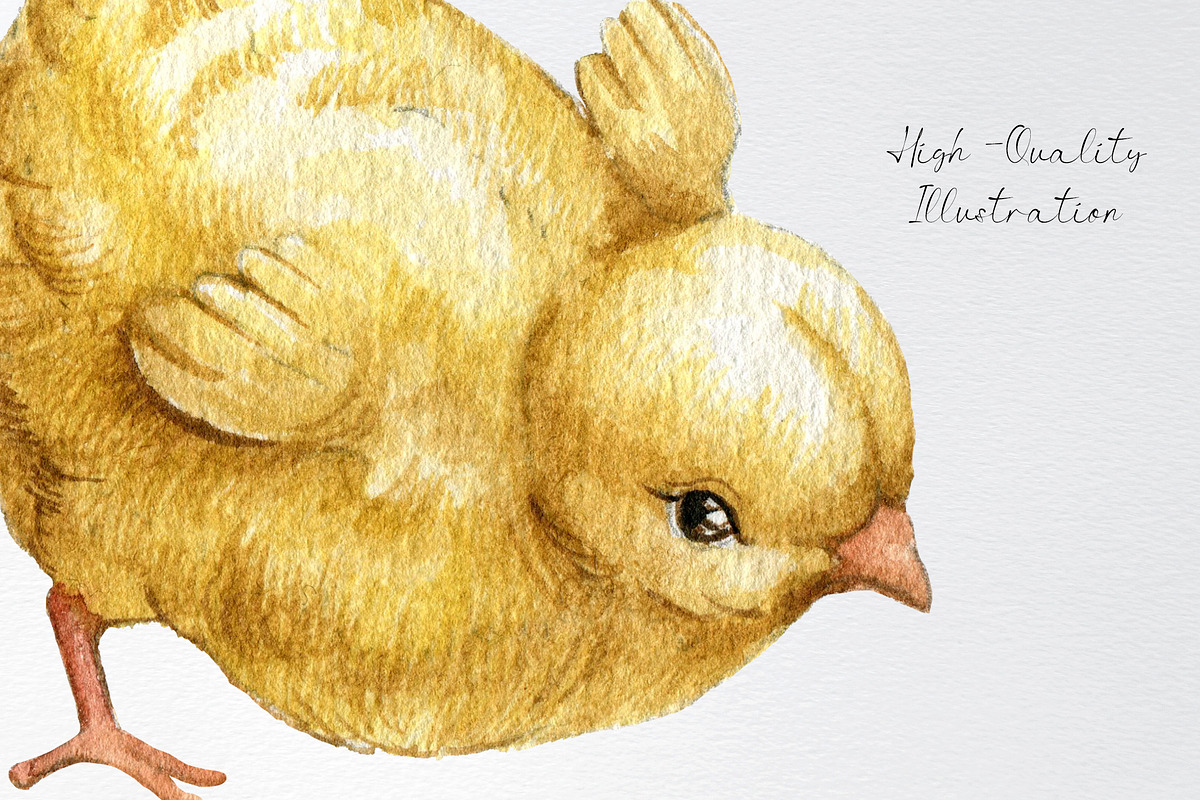 Watercolor easter chicken clipart, an Animal Illustration by yana.fefelova (Photo 4 of 4)