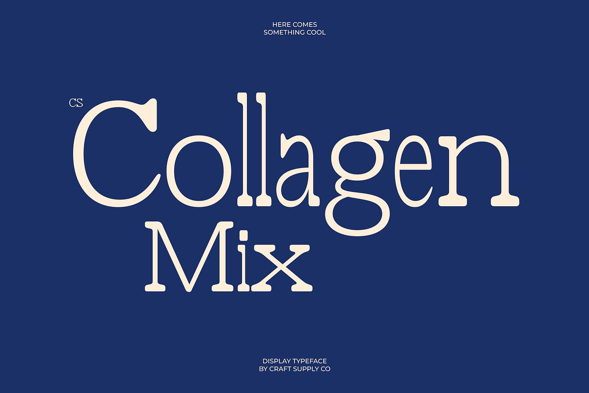 CS Collagen Mix, a Serif Font by Craft Supply Co. (Photo 1 of 8)