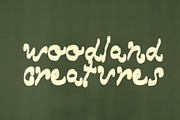 Woodland Hand Drawn Marker Font, a Handwritten Font by Madeline ODonoghue Design (Thumbnail 5 of 8)