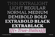 TT Norms Pro Serif, a Serif Font by TypeType (Thumbnail 2 of 15)