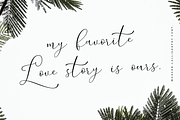 Melnychuk Elegant Script, a Script Font by sizimon (Thumbnail 2 of 8)