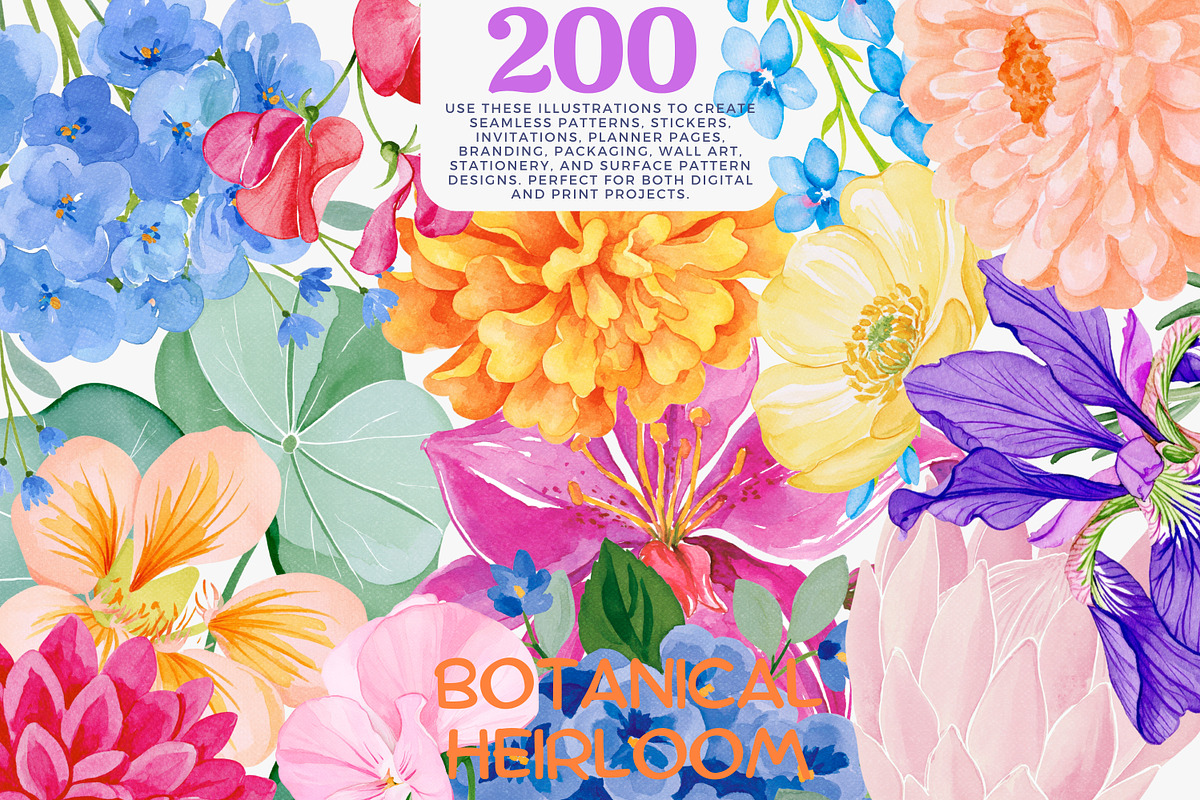 Flower Clipart Huge Bundle, a Decorative Illustration by Patishop Art (Photo 1 of 11)