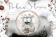 Polar Stories Watercolor & Ink Set, an Animal Illustration by Bibela (Thumbnail 1 of 10)