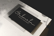 Brigham Signature Script, a Script Font by Glyphstyle (Thumbnail 9 of 10)