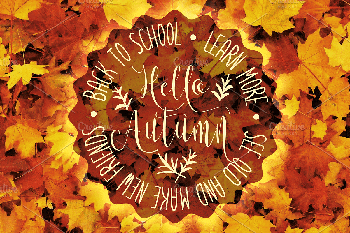 Lets get crazy font duo preview 3
