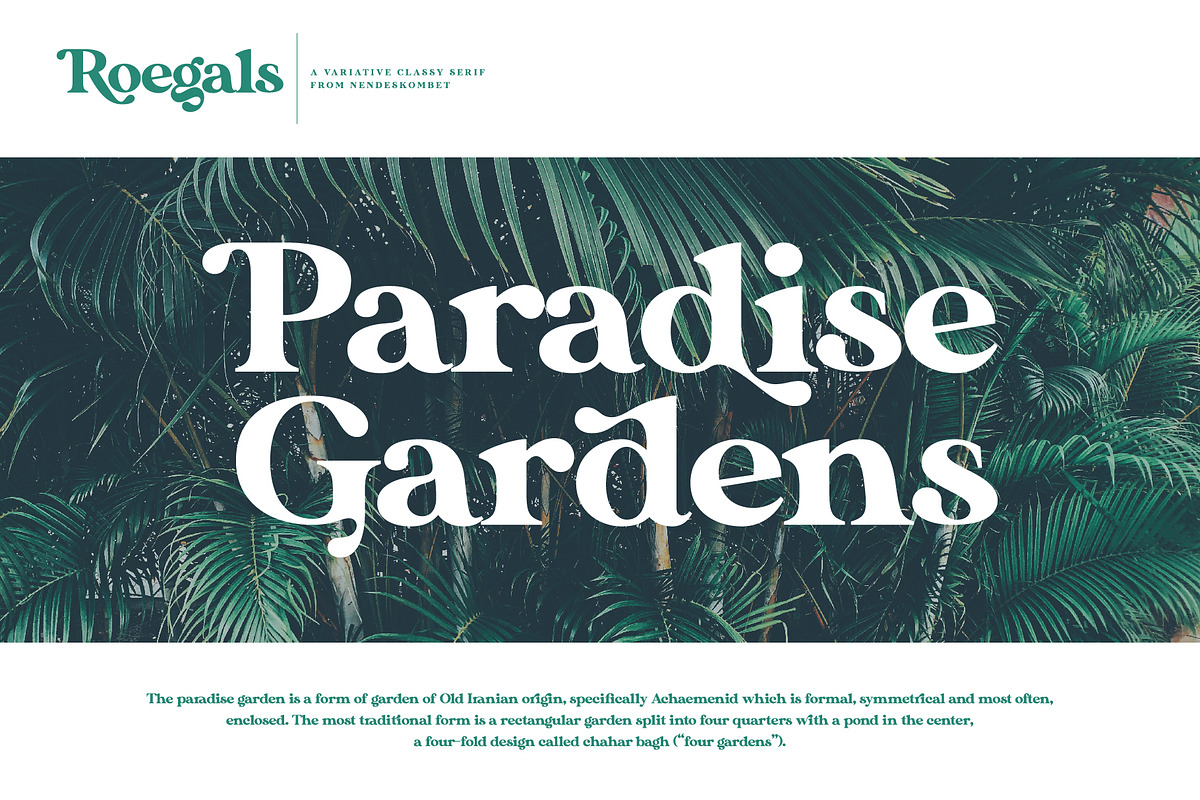 Roegals - A Variative Classy Serif, a Serif Font by NendesKombet Studio (Photo 6 of 15)