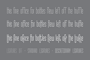 MB Narrow, a Sans Serif Font by Ben Burford Fonts (Thumbnail 4 of 4)