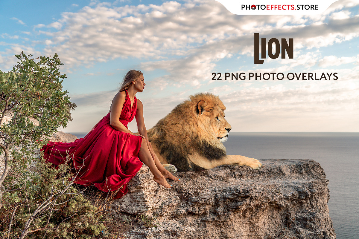 22 Lion Photo Overlays, an Action Add-On by PhotoEffects.Store (Photo 1 of 6)
