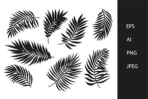 Palm Leaves Vector Set