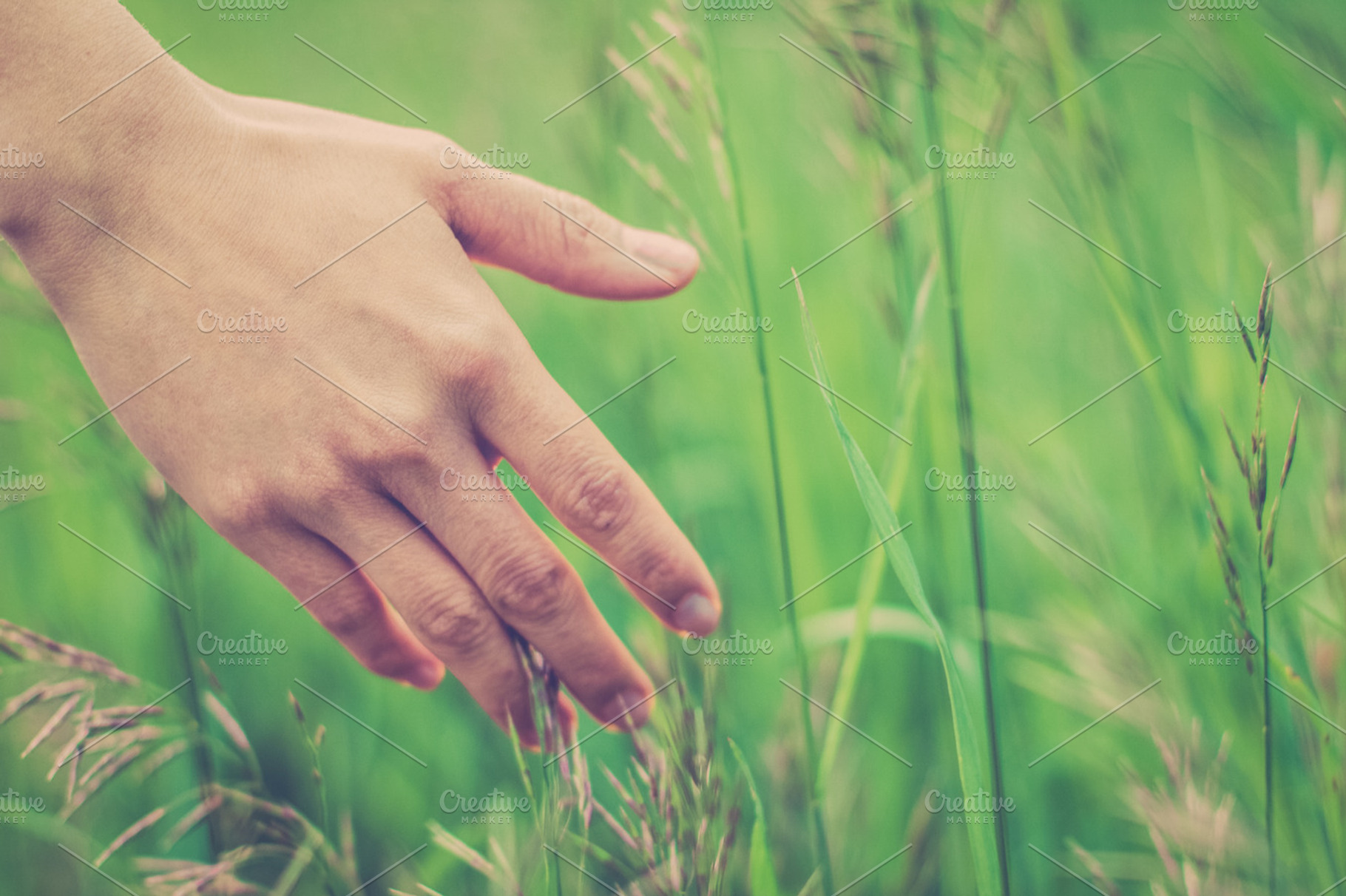 Through The Grass
