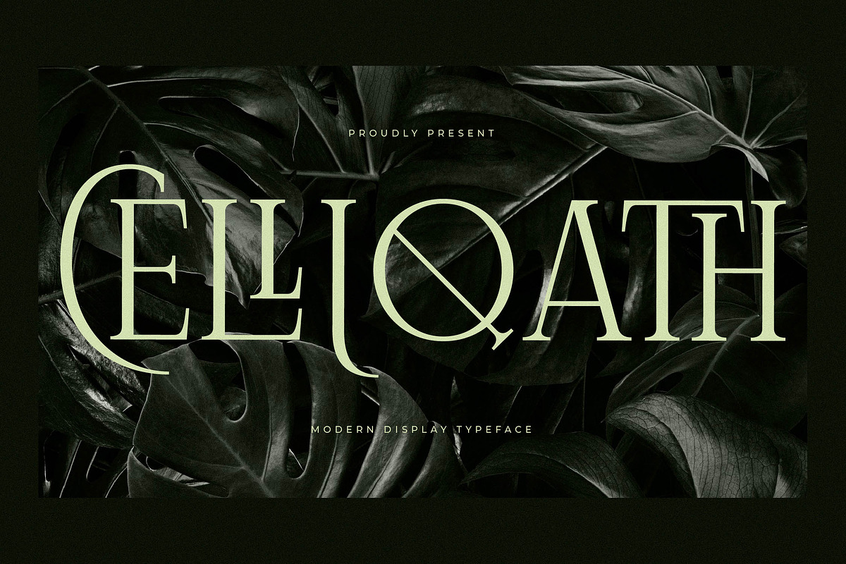 Celliqath Modern Display, a Serif Font by Storytype Studio (Photo 1 of 15)