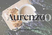 Aurenzo | Classic Serif Typeface, a Serif Font by Artdez (Thumbnail 1 of 4)