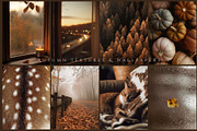 300 Autumn Fall Styled Stock Photos, a Beauty & Fashion Photo by Allure Art (Thumbnail 22 of 50)
