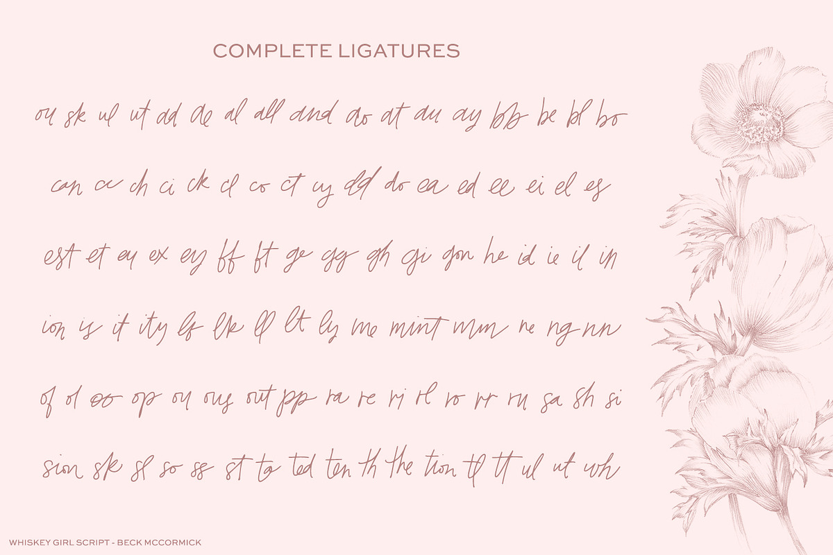Whiskey Girl Script Font, a Script Font by Beck McCormick (Photo 10 of 10)