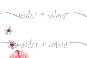Trio Floral border watercolor