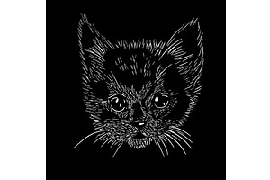 Graphic kitten head on black, an Animal Illustration by Nenahliadava Design