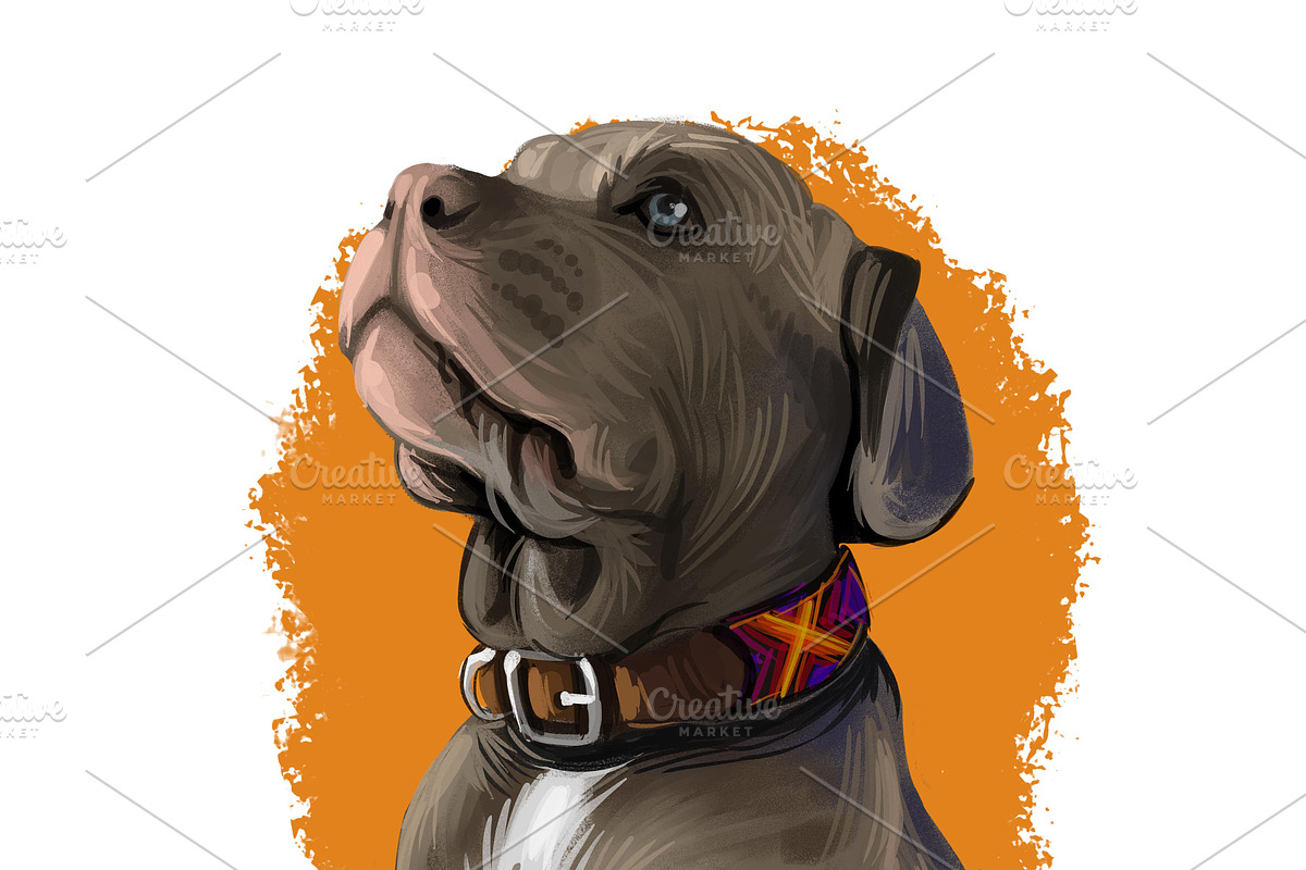 Puppies Dog Breeds Big Bundle 135Pcs, an Animal Illustration by Dneprstock (Photo 46 of 68)