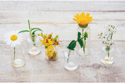 extracts of herbs in small bottles, a Health & Medical Photo by yanadjana