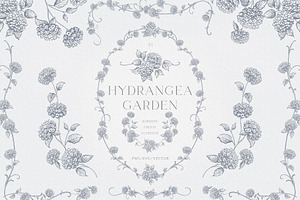 Hydrangea line art flowers, an Object Illustration by Sensual Art