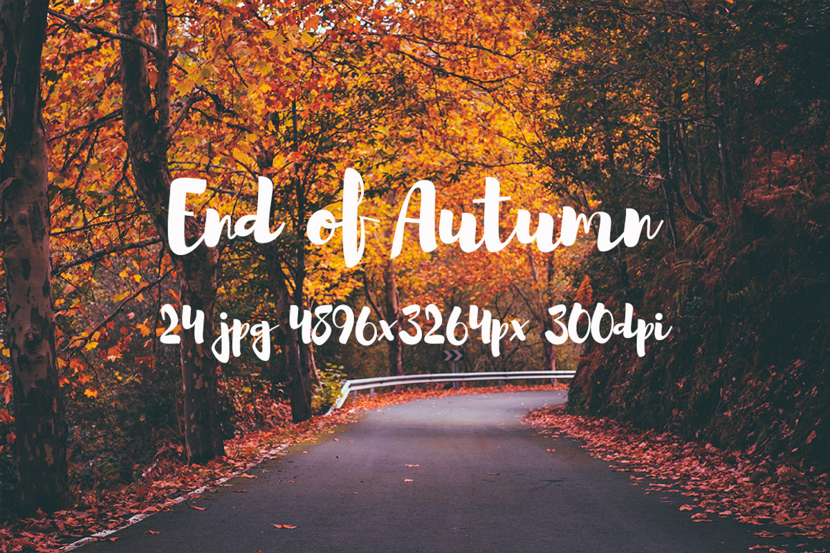 End of Autumn photo pack, a Templates & Theme by ApertureVintage (Photo 1 of 14)