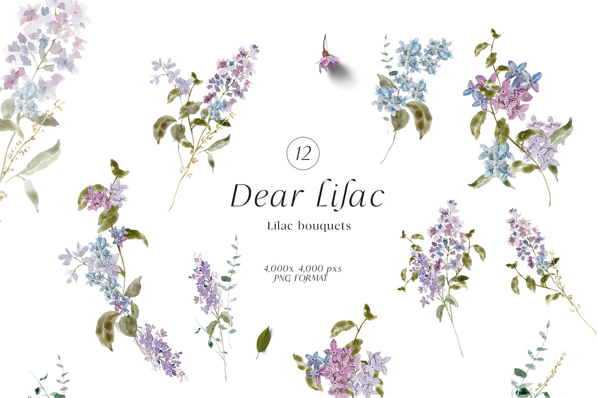 Floral Lilac Watercolor Collection, an Illustration by Grace Noboa Illustrations (Photo 7 of 13)