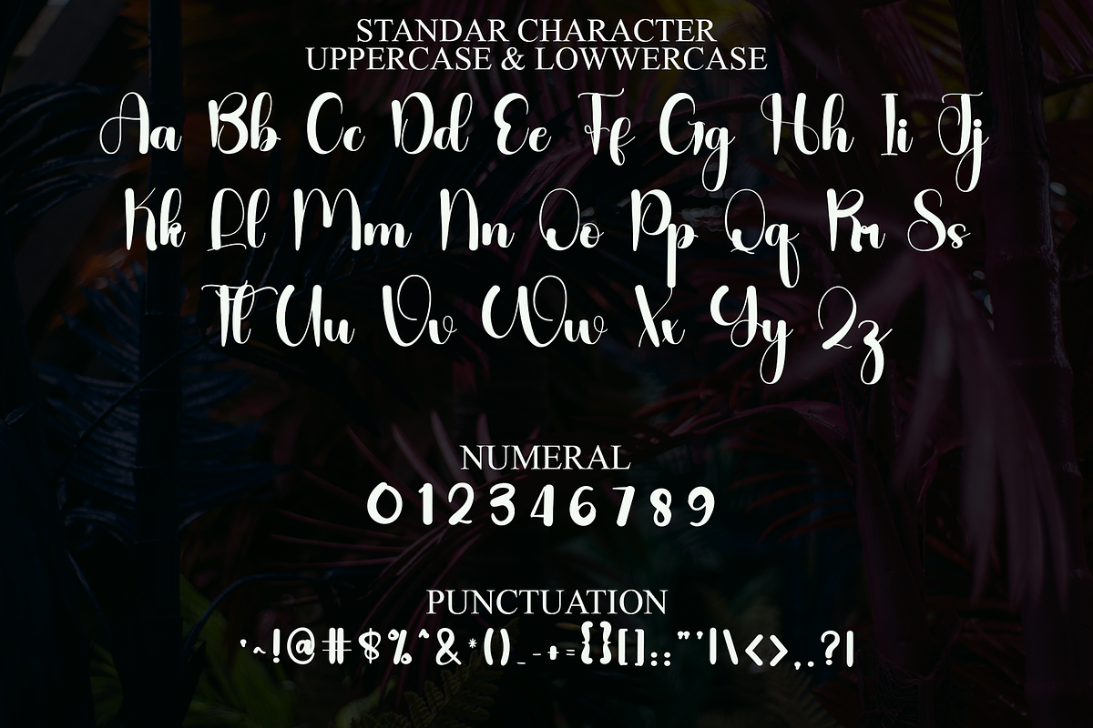 Vanila, a Script Font by InermediaSTUDIO (Photo 5 of 8)
