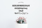 BLOSSOM BRUSH Font, a Sans Serif Font by Blush Font Co. (Thumbnail 2 of 3)