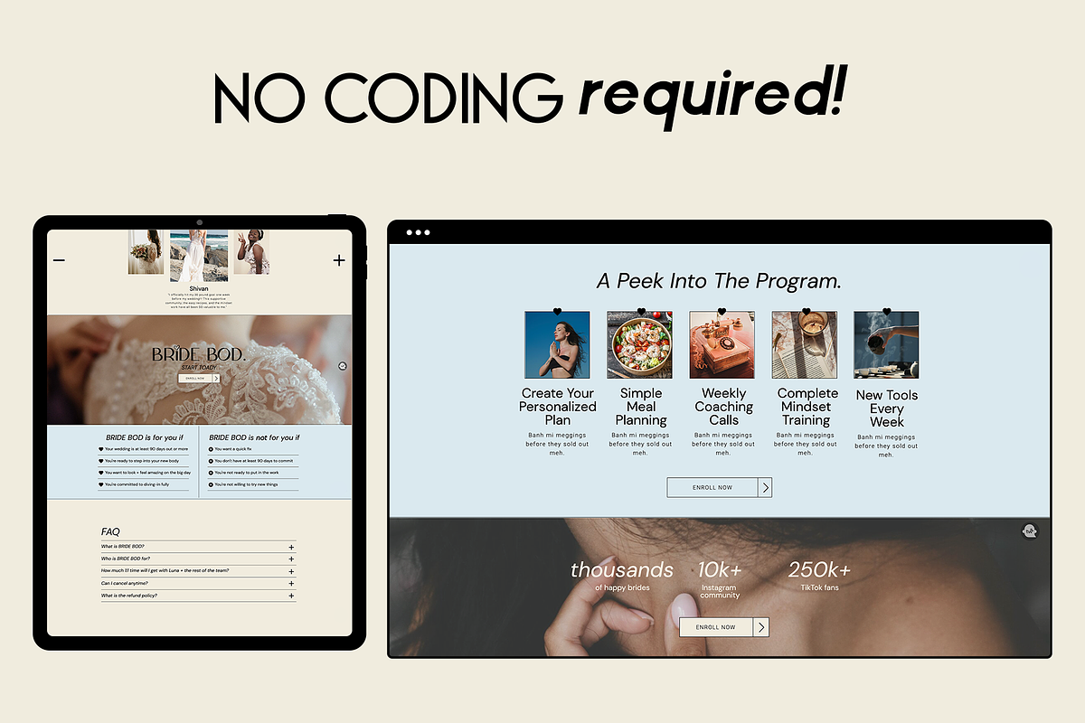 Showit Website Sales Page Tempalte, a Websites & App Template by Scribble Society (Photo 5 of 8)